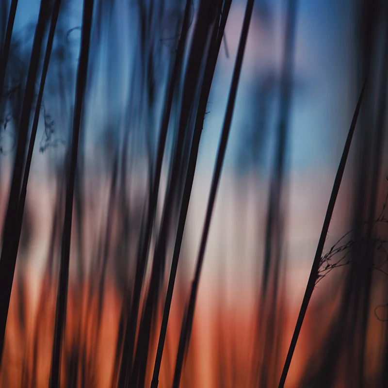 muzyka do filmów - technology ambient