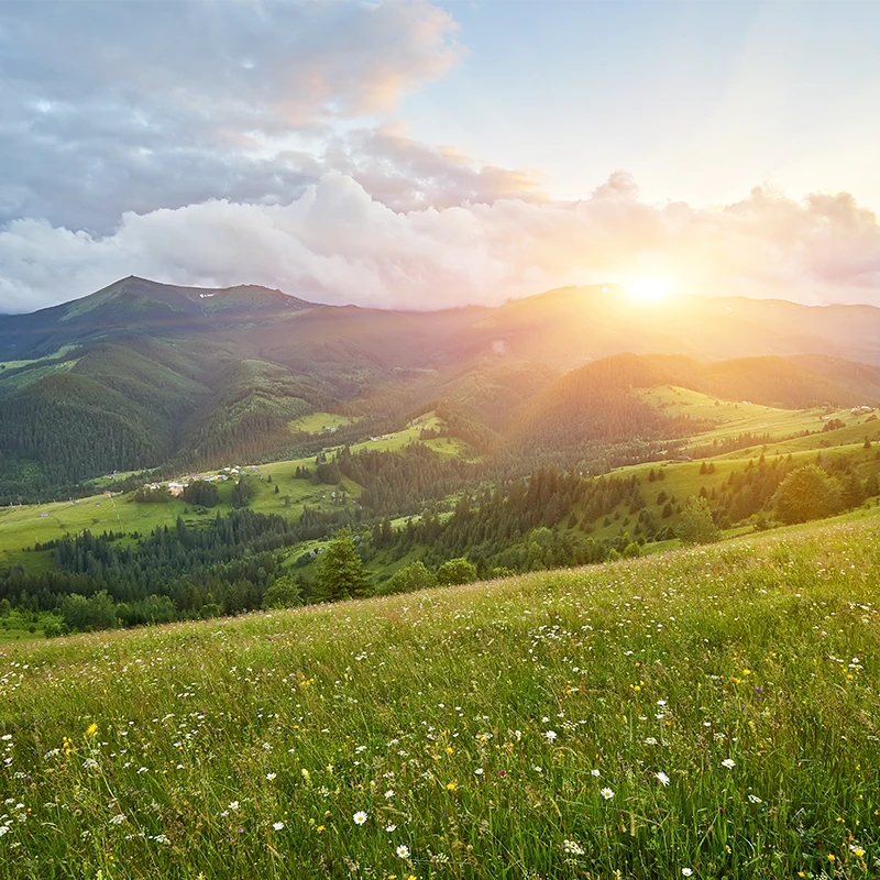 Muzyka do filmów dla dzieci - This Happy